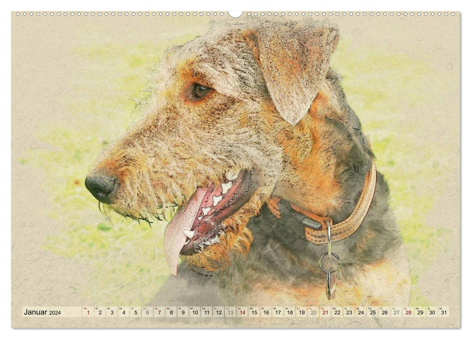 Airedale Terrier 2024 (CALVENDO Wandkalender 2024)