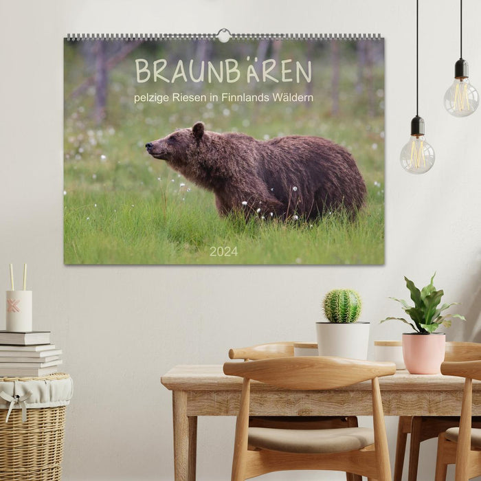 Ours bruns - géants à fourrure dans les forêts finlandaises (calendrier mural CALVENDO 2024) 