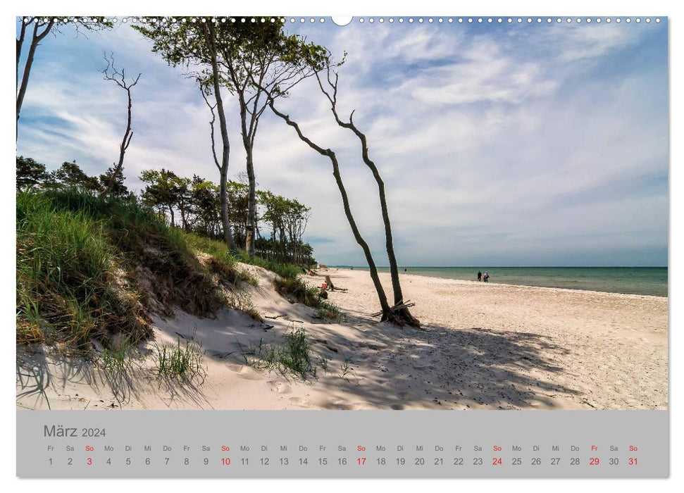 Ostsee, Fischland-Darß (CALVENDO Premium Wandkalender 2024)
