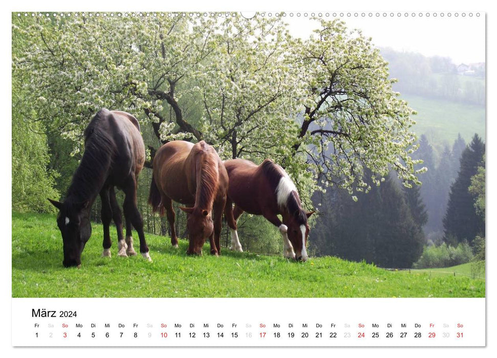 Bauernhoftiere (CALVENDO Wandkalender 2024)