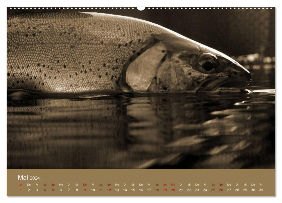 Fliegenfischen (CALVENDO Wandkalender 2024)