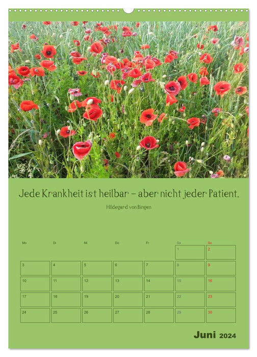 Erkenntnis und Weisheit - Hildegard von Bingen (CALVENDO Premium Wandkalender 2024)