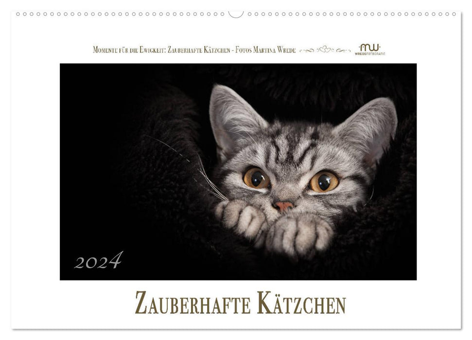 Zauberhafte Kätzchen (CALVENDO Wandkalender 2024)