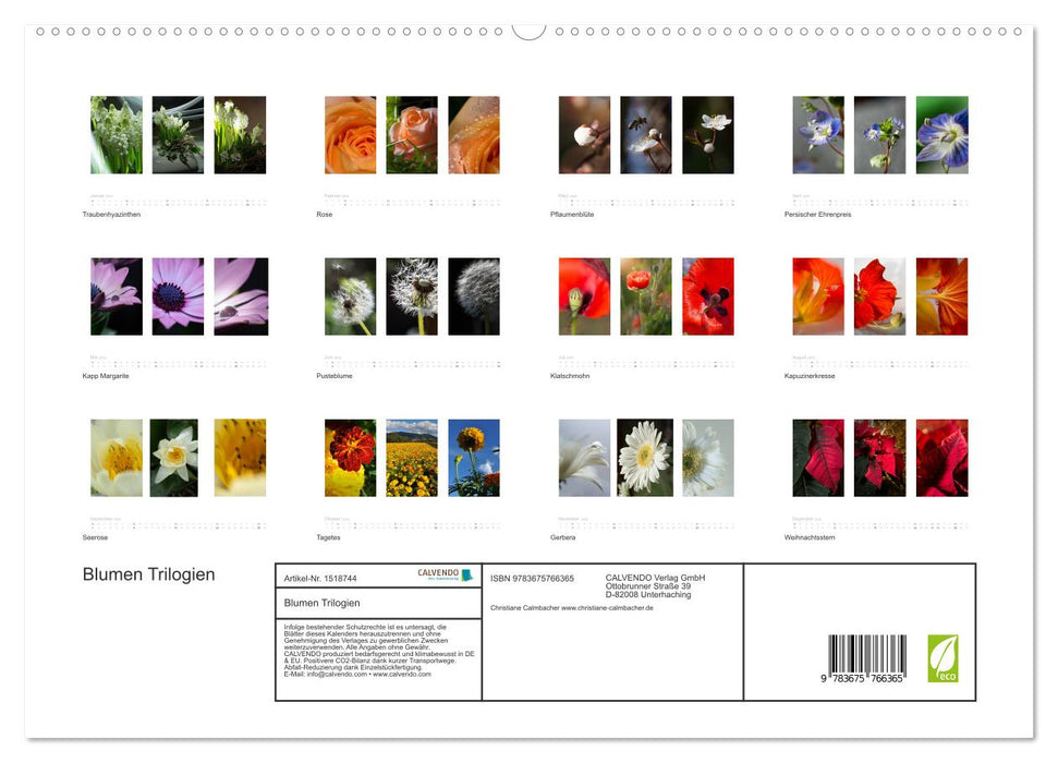Blumen Trilogien (CALVENDO Premium Wandkalender 2024)