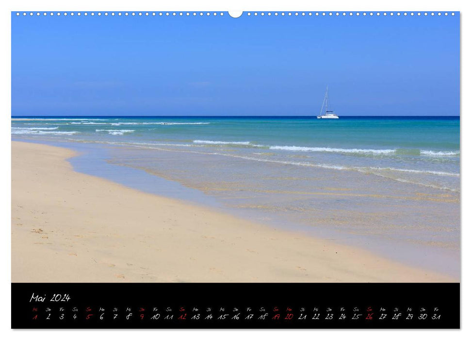 Fuerteventura (CALVENDO Premium Wandkalender 2024)