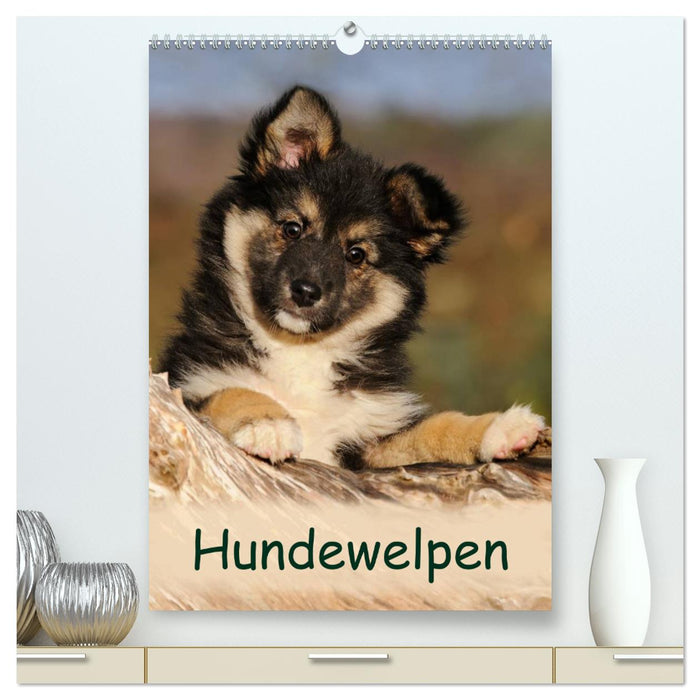 Hundewelpen (CALVENDO Premium Wandkalender 2024)