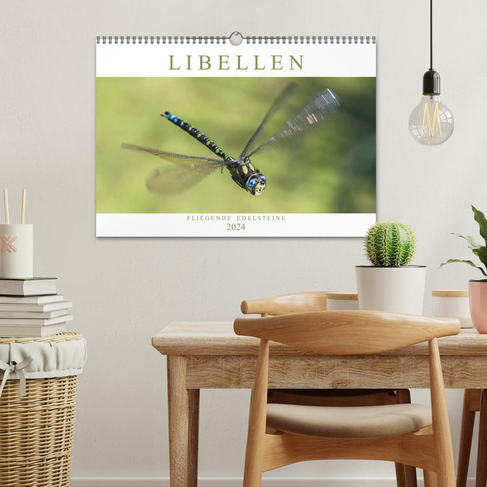 Libellen - Fliegende Edelsteine (CALVENDO Wandkalender 2024)