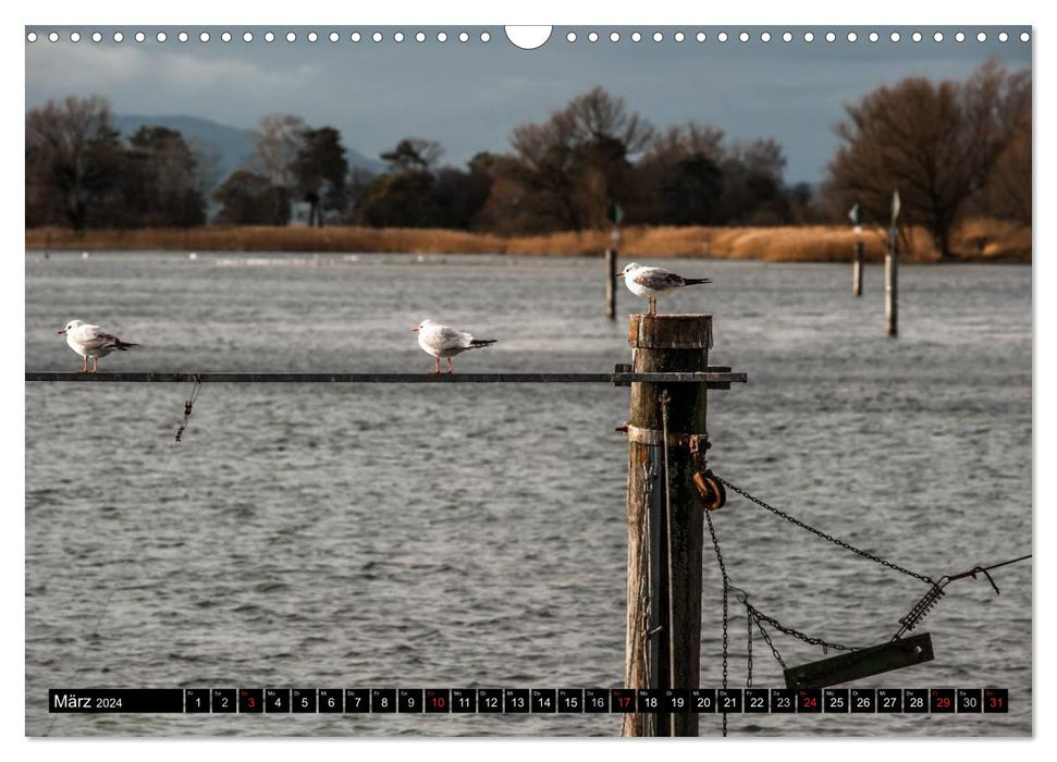 BODENSEE (CALVENDO Wandkalender 2024)