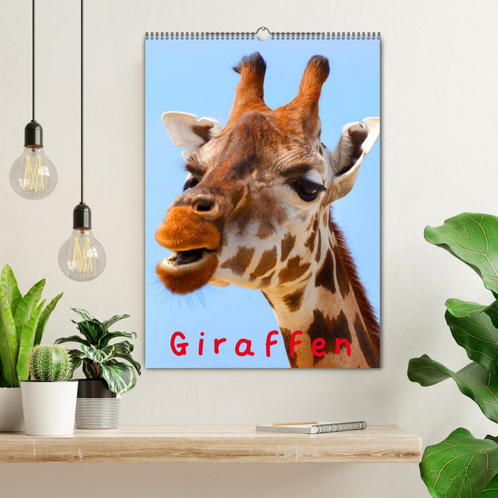 Giraffen (CALVENDO Wandkalender 2024)