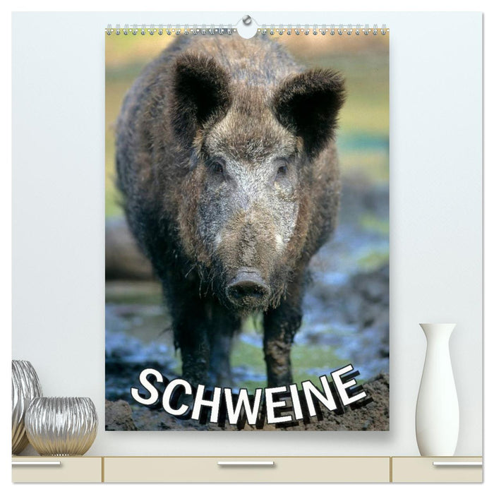 Schweine 2024 (CALVENDO Premium Wandkalender 2024)