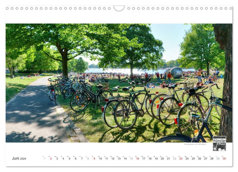 MÜNSTER :: Ansichten einer lebenswerten Stadt (CALVENDO Wandkalender 2024)