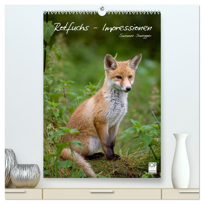 Rotfuchs - Impressionen (CALVENDO Premium Wandkalender 2024)