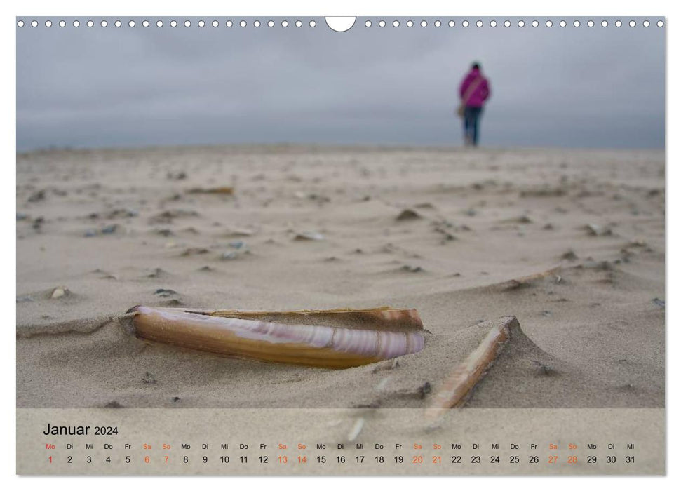 am strand von SANKT PETER-ORDING (CALVENDO Wandkalender 2024)