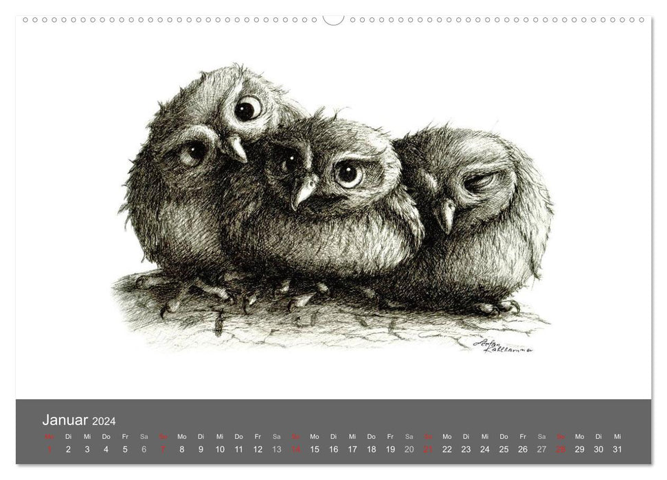 owls & friends 2024 (CALVENDO Premium Wandkalender 2024)