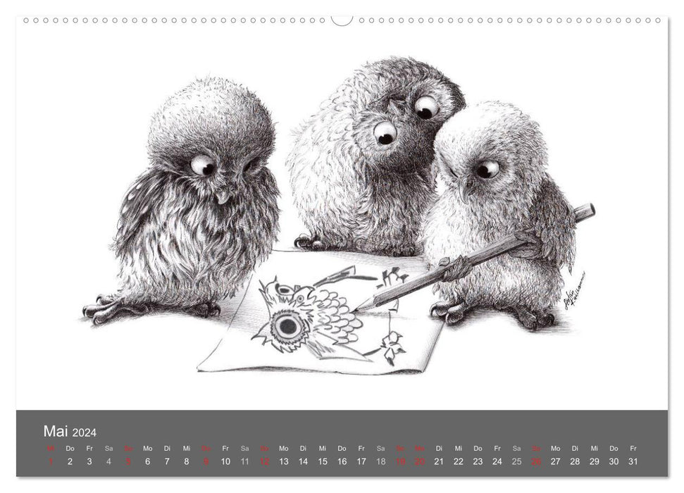 owls & friends 2024 (CALVENDO Premium Wandkalender 2024)