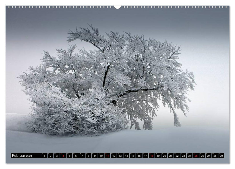 WETTER-LANDSCHAFTEN (CALVENDO Wandkalender 2024)