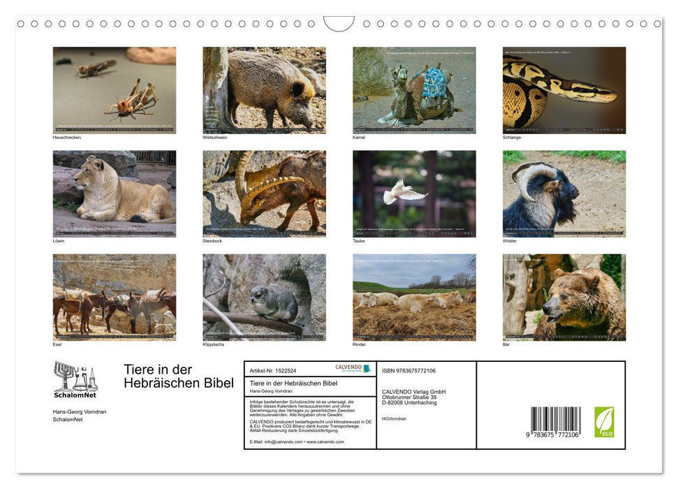 Tiere in der Hebräischen Bibel mit Bibelversen (CALVENDO Wandkalender 2024)