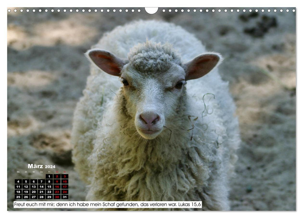 Tiere im Neuen Testament mit Bibelversen (CALVENDO Wandkalender 2024)
