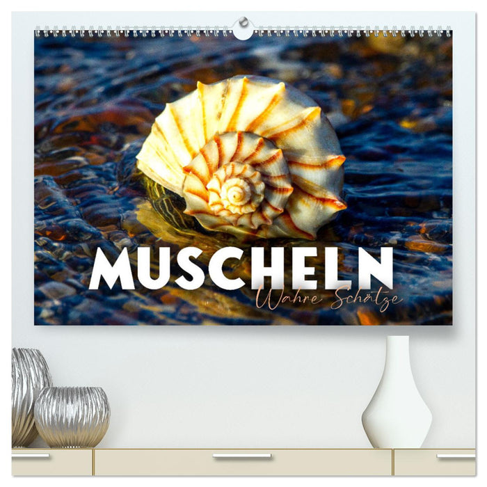 Muscheln - Wahre Schätze (CALVENDO Premium Wandkalender 2024)