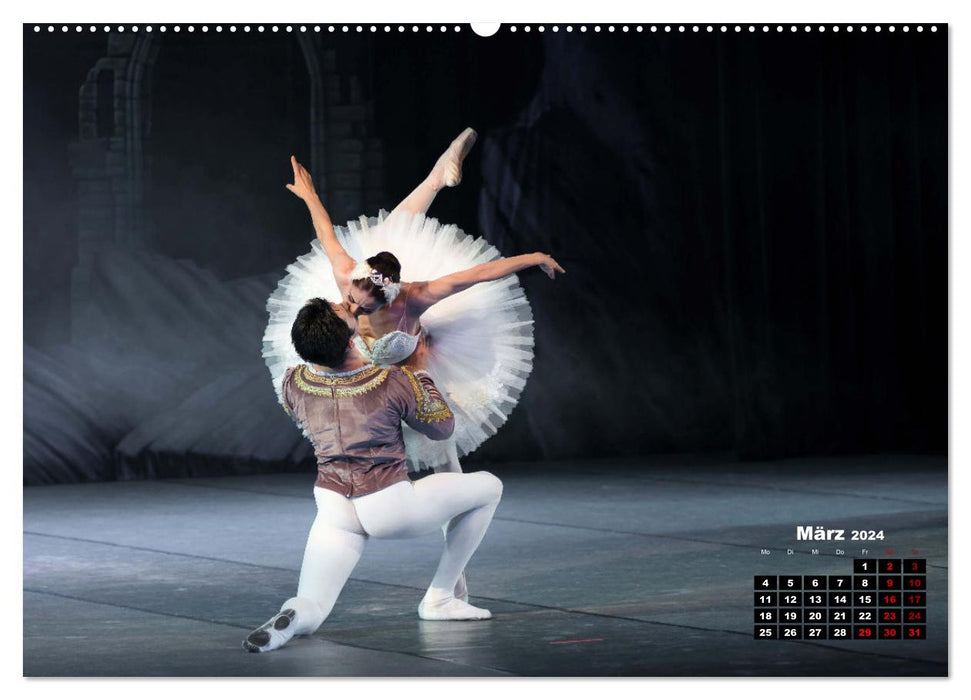 Sinneseindrücke Ballett (CALVENDO Premium Wandkalender 2024)