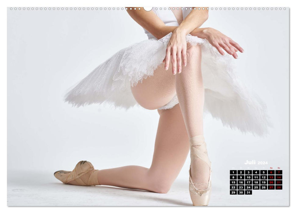Sinneseindrücke Ballett (CALVENDO Premium Wandkalender 2024)