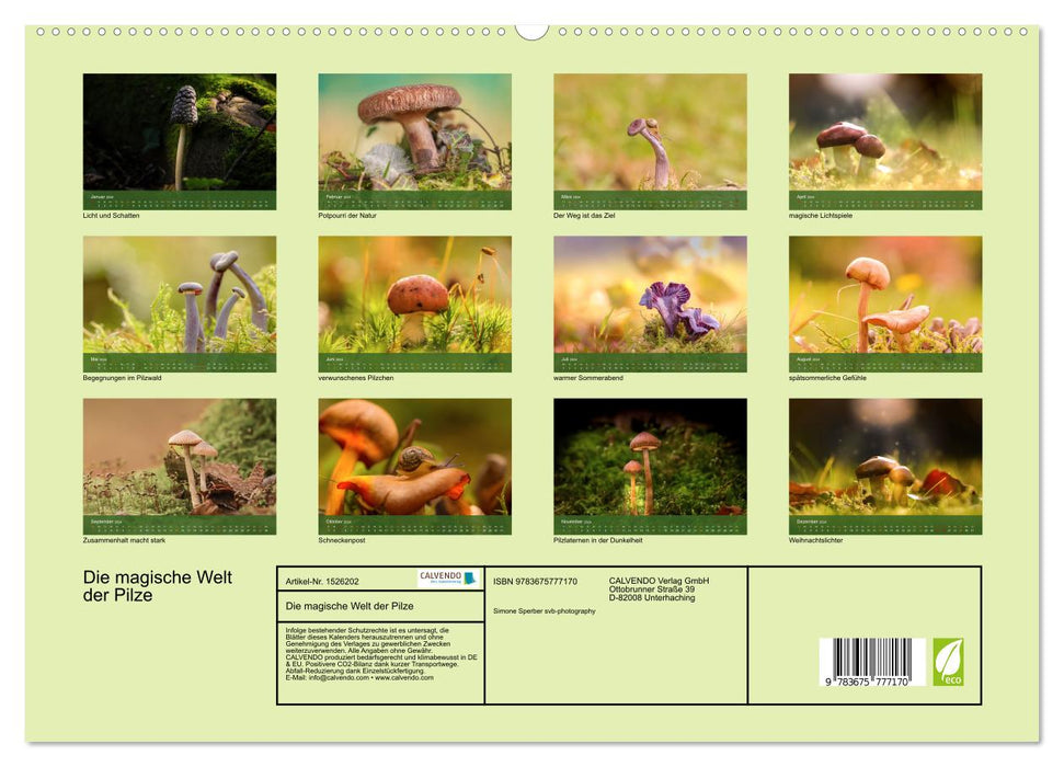 Die magische Welt der Pilze (CALVENDO Premium Wandkalender 2024)