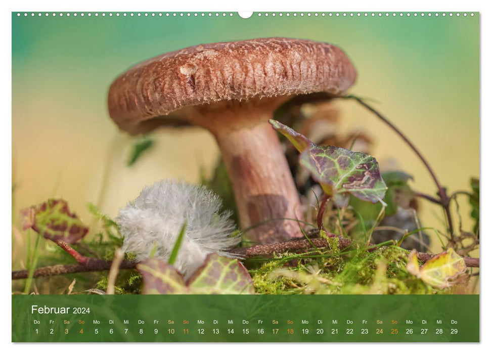Le monde magique des champignons (Calendrier mural CALVENDO Premium 2024) 