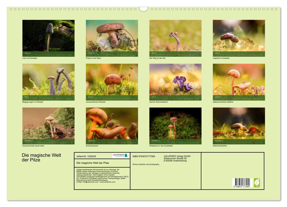 Die magische Welt der Pilze (CALVENDO Wandkalender 2024)