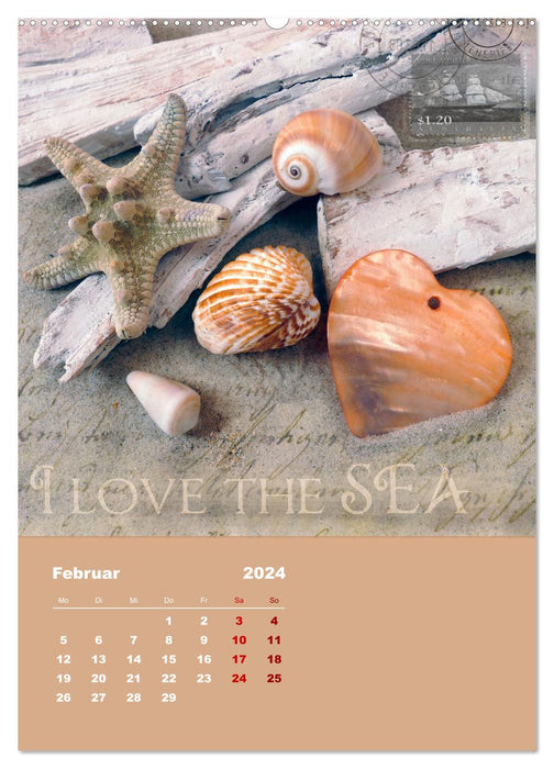 Geschenke vom Meer (CALVENDO Premium Wandkalender 2024)