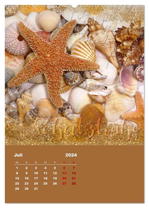 Geschenke vom Meer (CALVENDO Premium Wandkalender 2024)