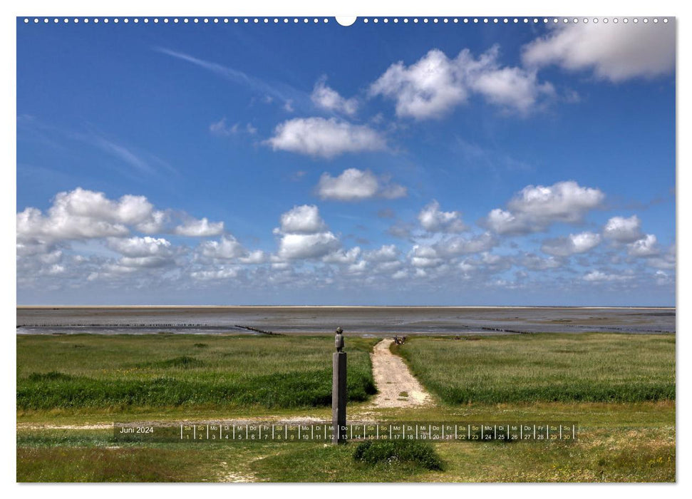 Mandø - Perle dans la mer des Wadden danoise (calendrier mural CALVENDO 2024) 