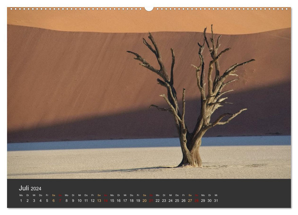 Wüstenbäume (CALVENDO Premium Wandkalender 2024)