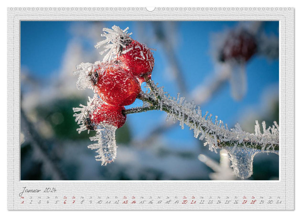 EisKalt Gestaltet (CALVENDO Premium Wandkalender 2024)