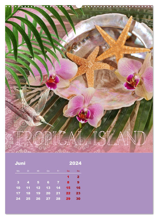 Geschenke vom Meer (CALVENDO Wandkalender 2024)