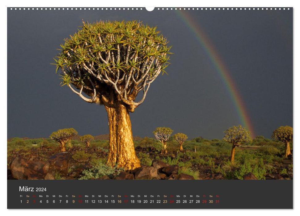 Wüstenbäume (CALVENDO Wandkalender 2024)