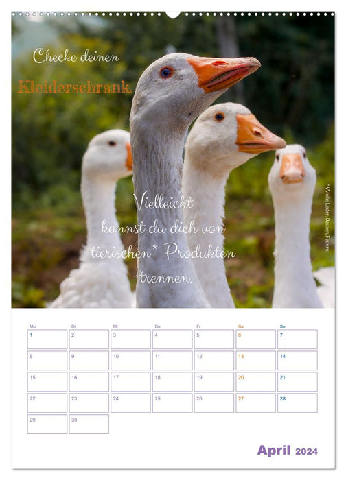 Tierische Challenges: Für mehr Bewusstsein und mehr Tierschutz (CALVENDO Wandkalender 2024)