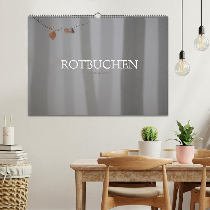 Rotbuchen (CALVENDO Wandkalender 2024)