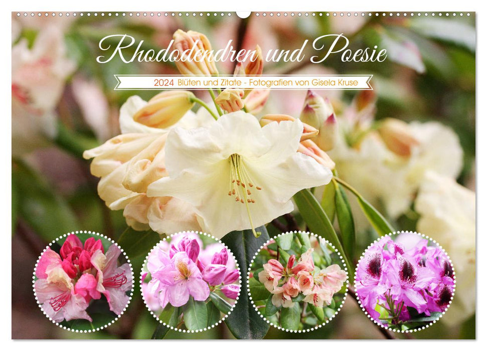 Rhododendren und Poesie (CALVENDO Wandkalender 2024)