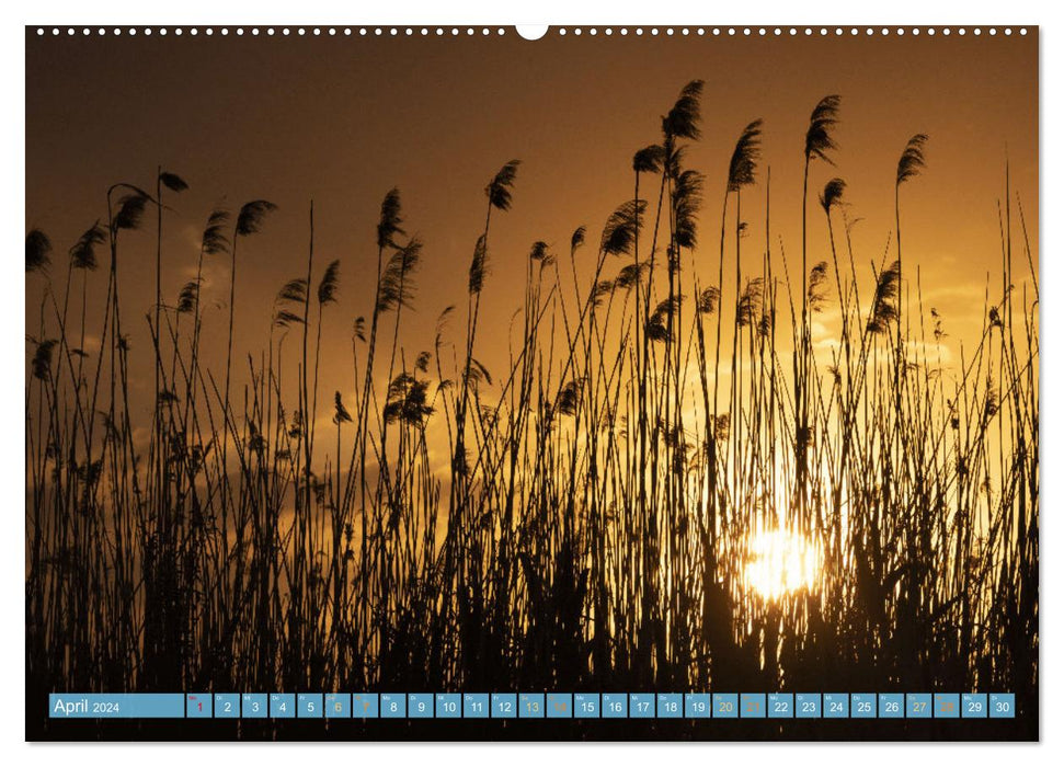 Sehnsuchtsziel Donaudelta (CALVENDO Wandkalender 2024)