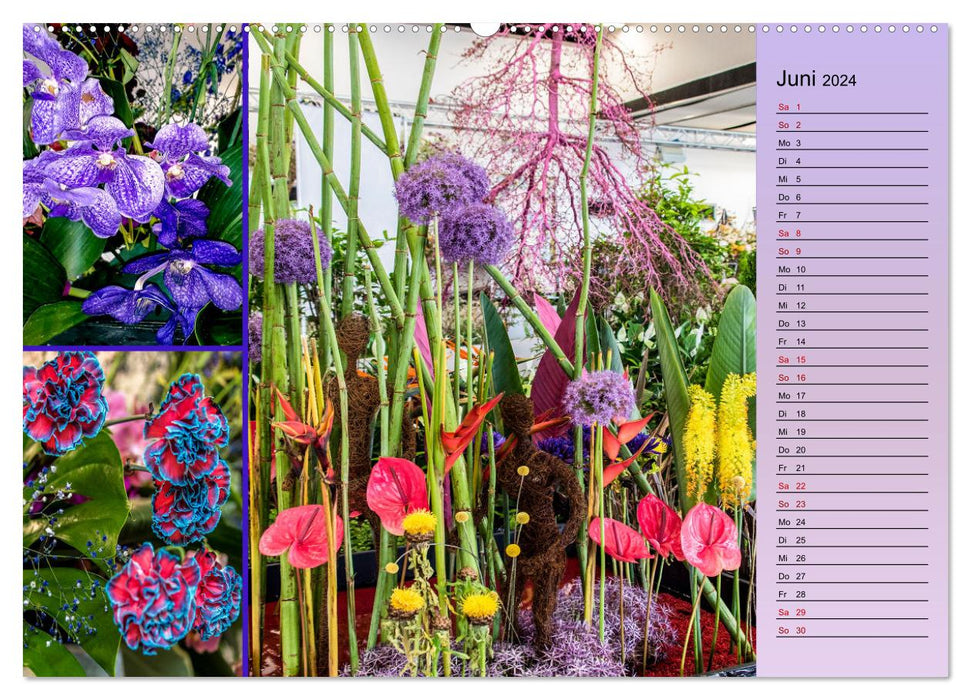 Garden show in Erfurt (CALVENDO wall calendar 2024) 