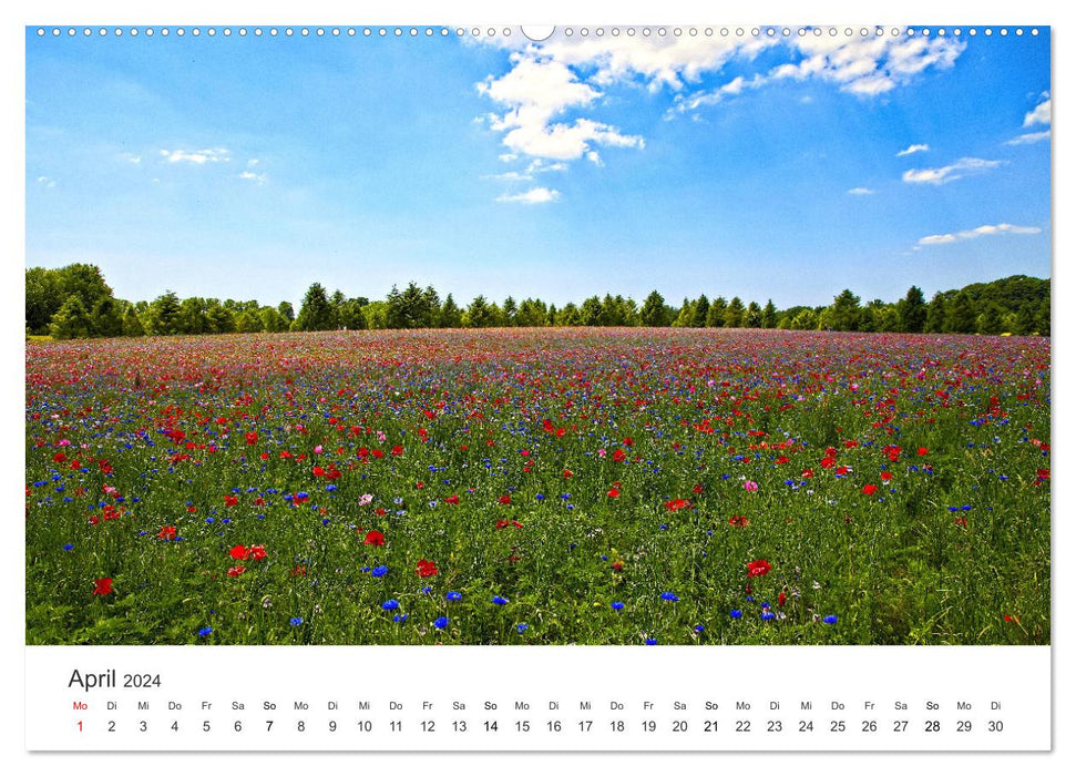 The most beautiful flower meadows in the world (CALVENDO Premium Wall Calendar 2024) 