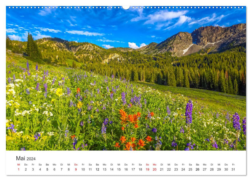 The most beautiful flower meadows in the world (CALVENDO Premium Wall Calendar 2024) 