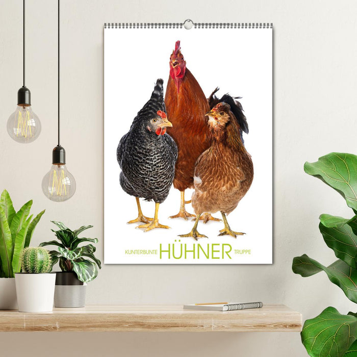 Colorful chicken troupe (CALVENDO wall calendar 2024) 