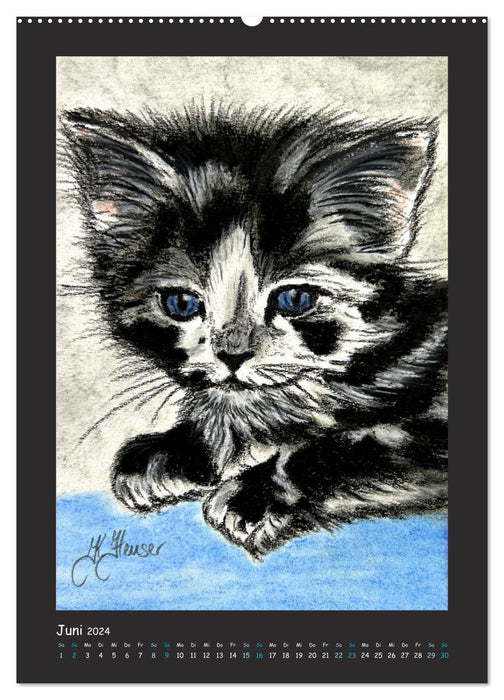 PortraiTierART Velvet Paws (CALVENDO Wall Calendar 2024) 