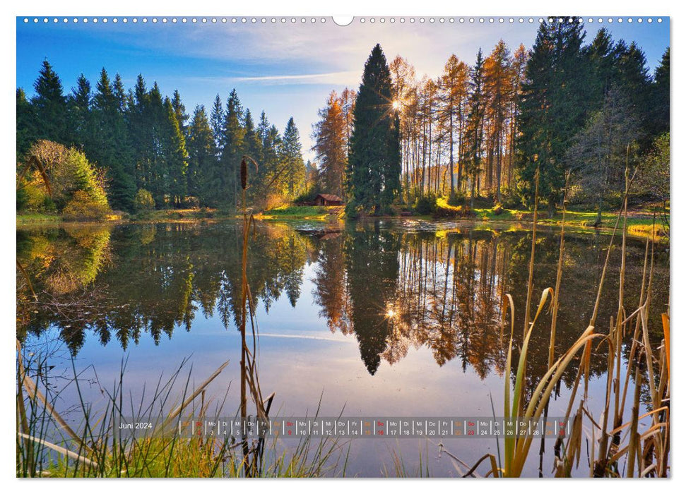 Gewässer in Südthüringen (CALVENDO Premium Wandkalender 2024)
