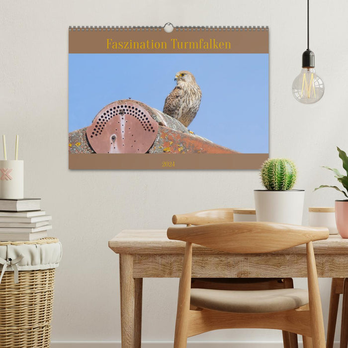 Fascination with kestrels (CALVENDO wall calendar 2024) 