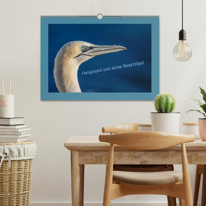 Helgoland and its gannets (CALVENDO wall calendar 2024) 