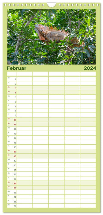 Costa Rica - Tropische Tierwelt (CALVENDO Familienplaner 2024)