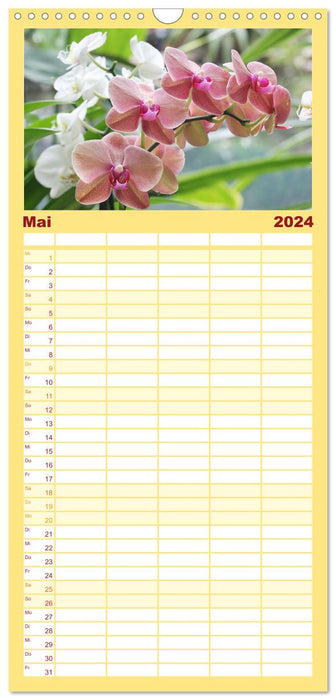Mein Orchideentraum (CALVENDO Familienplaner 2024)