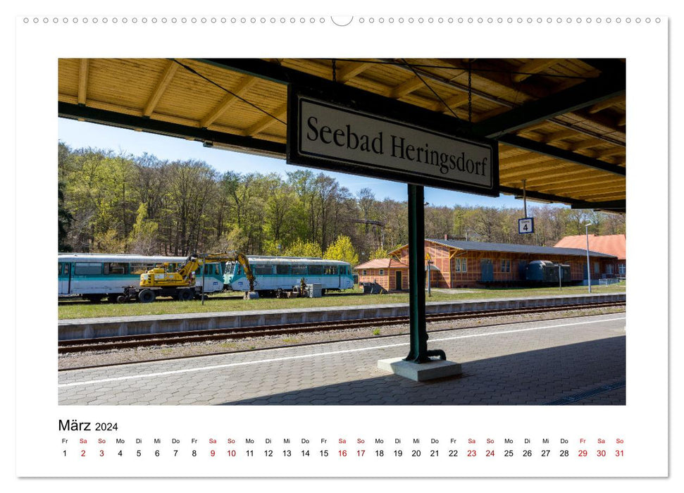 Steam locomotive on Usedom (CALVENDO Premium Wall Calendar 2024) 